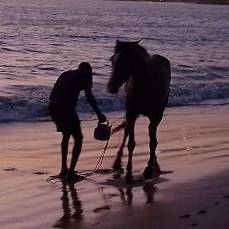 Paradisplage, 1 Minute De La Mer Saly Portudal Esterno foto