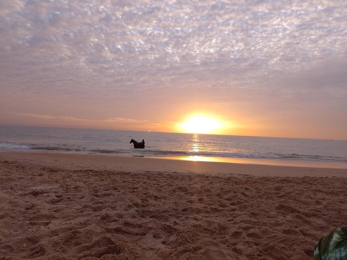 Paradisplage, 1 Minute De La Mer Saly Portudal Esterno foto