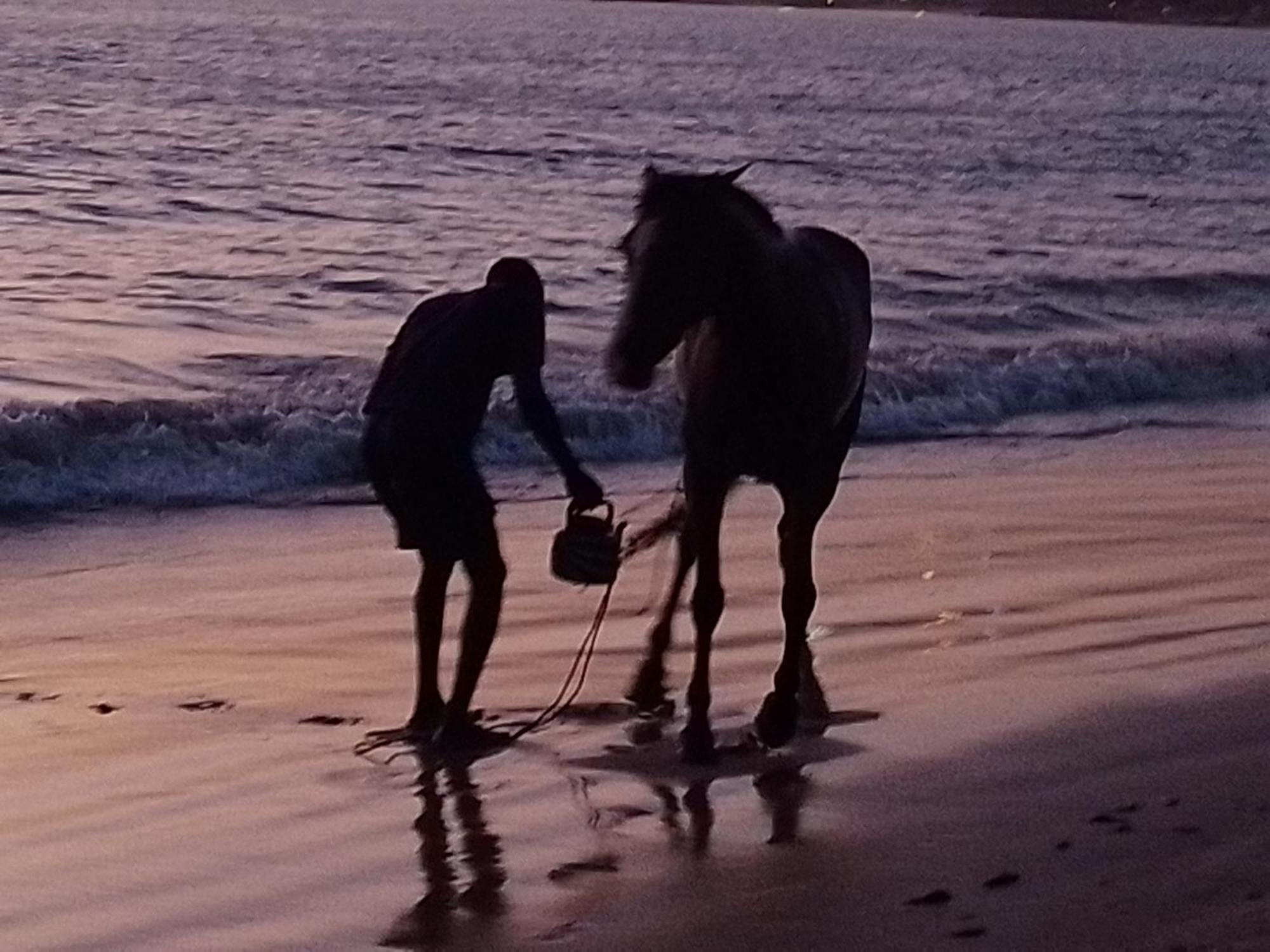 Paradisplage, 1 Minute De La Mer Saly Portudal Esterno foto